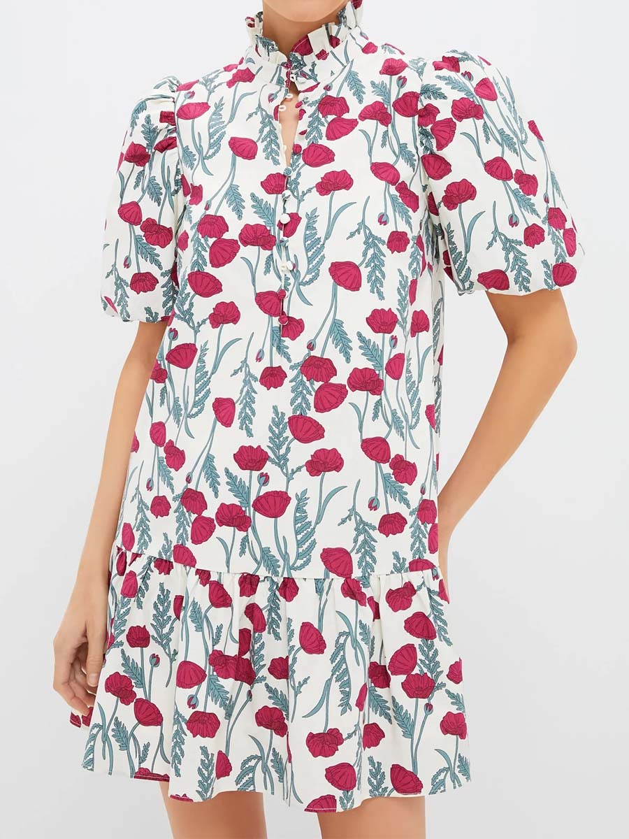 Floral Print Stand Ruffle Collar Mini Dress