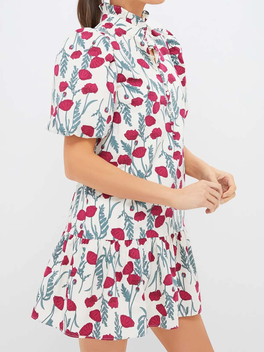 Floral Print Stand Ruffle Collar Mini Dress